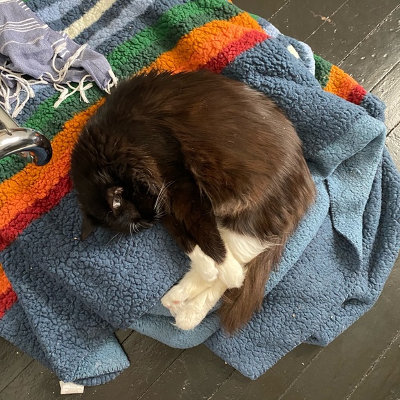 Meet your Posher, Kevin - Picture 2 of 2